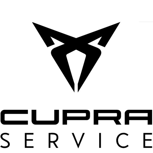 nutzfahrzeuge service